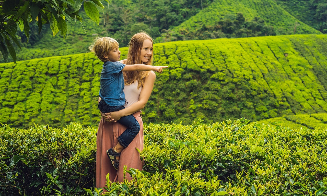 Family Adventure Tour in Sri Lanka