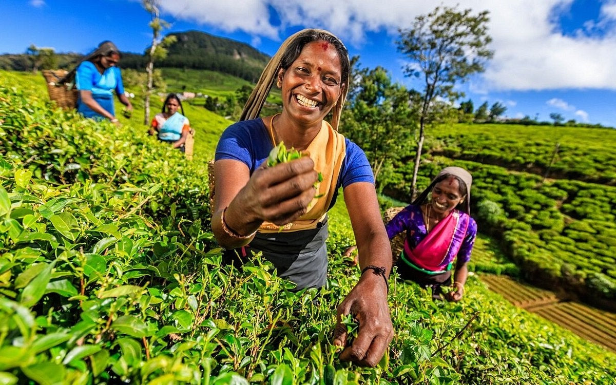 Family Adventure Tour in Sri Lanka
