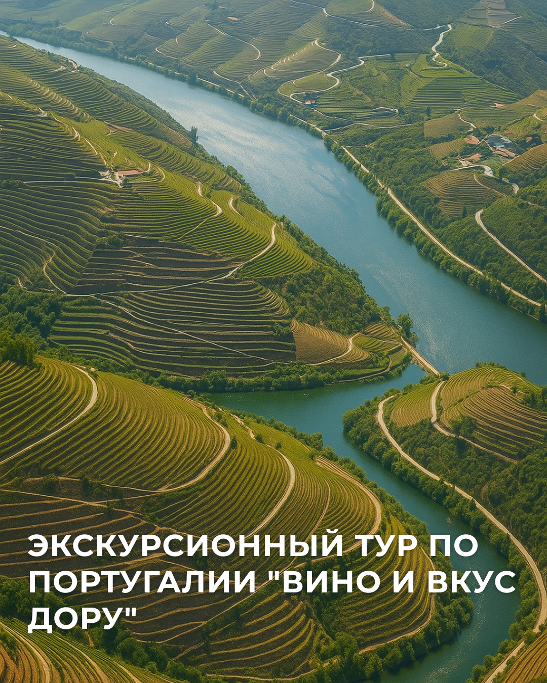 Винодельческий район Алту-Дору, Португалия