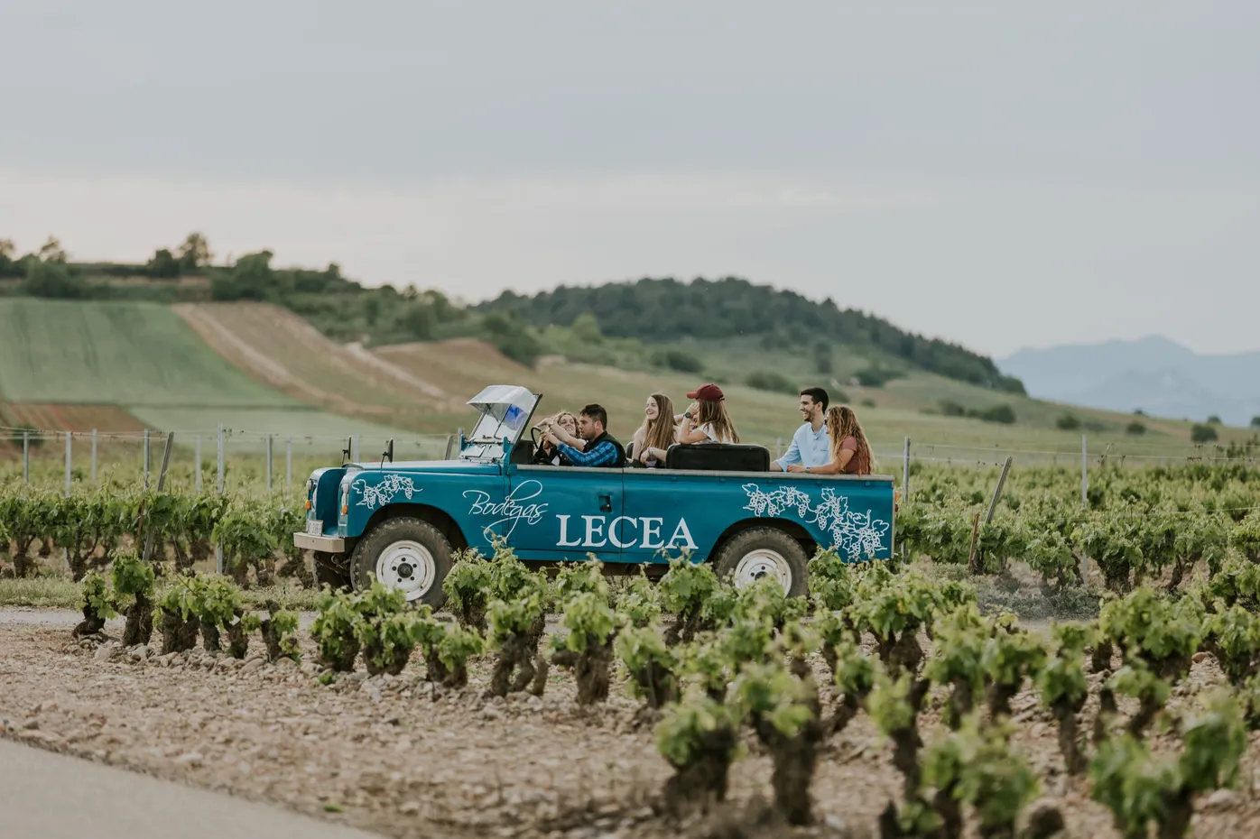 экскурсия на винодельню Bodegas Lecea в окрестностях города Лагуардиа, Испания