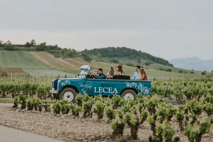 экскурсия на винодельню Bodegas Lecea в окрестностях города Лагуардиа, Испания